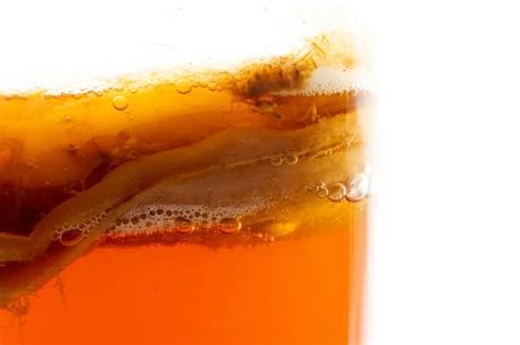 Make a Thriving Homemade Kombucha SCOBY in 3 Simple Steps