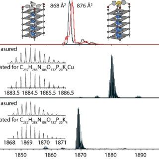 A Native Esi Ms And Trapped Ion Mobility Time Of Flight Timstof