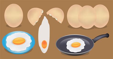 Egg Ingredient Cooking 2264535 Vector Art at Vecteezy