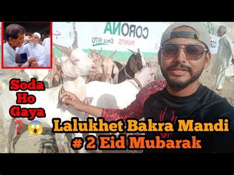 Lalukhet Bakra Mandi Latest Update Eid Mubarak K Mandi Main Khassi