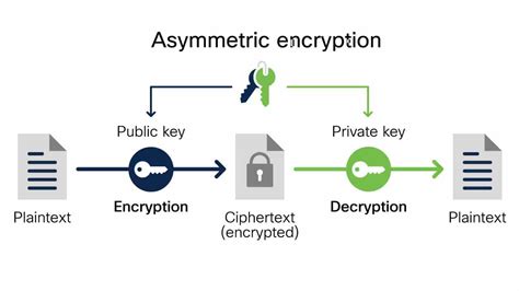 What is Data Encryption? Types and Best Practices