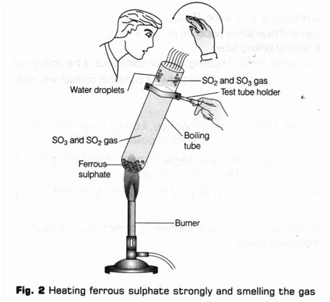 Cbse Class Science Lab Manual Types Of Reactions A Plus Topper