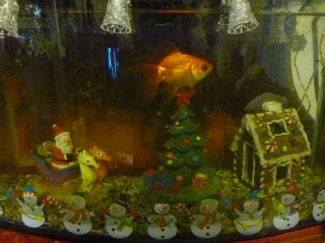 Pin Op Christmas Fish Tank