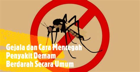 Gejala Dan Cara Mencegah Penyakit Demam Berdarah Secara Umum Infoajacom