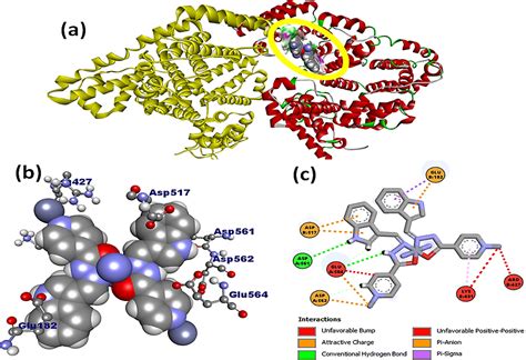 Syntheses Structural Characterization And Cytotoxicity Assessment Of Novel Mn Ii And Zn Ii