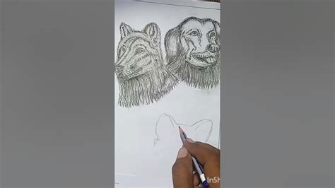 Scatch Art - YouTube