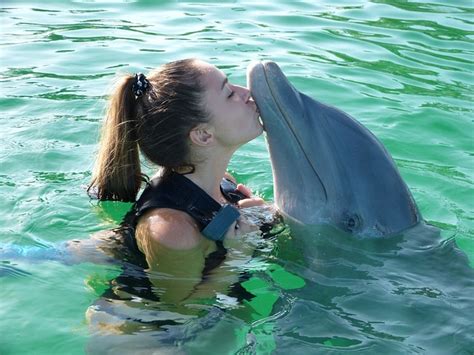 Nado Con Delfines En Playa Del Carmen Una Experiencia Inolvidable En