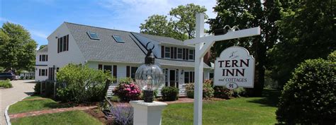 The Best Bed And Breakfast On Cape Cod The Tern Inn