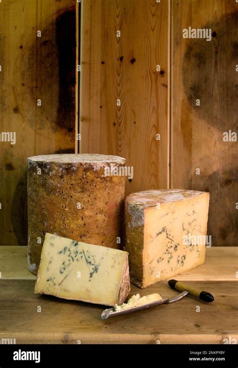 Stichelton Raw Milk Blue Cheese Production Stock Photo Alamy