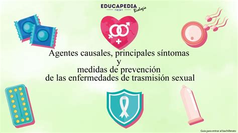 Agentes Causales Principales Síntomas Y Medidas De Prevención De Las