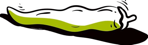 beans drawing illustration vector  white background