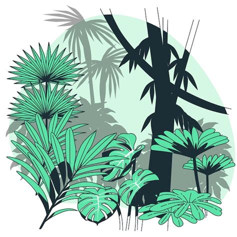 Ilustra O Do Conceito De Floresta Tropical Vetor Gr Tis