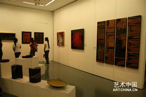 清華大學美術學院2009屆本科生畢業作品展清華美院2009畢業展藝術中國