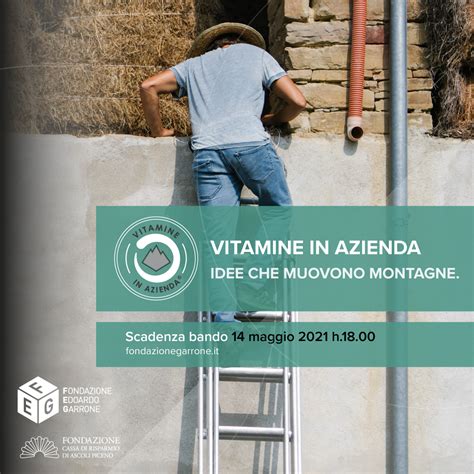 Aperte Le Candidature Per La Prima Edizione Di Vitamine In Azienda