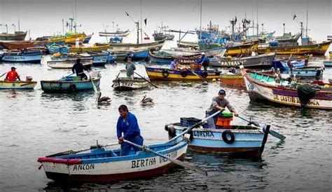 Nueva Ley General De Pesca Claves Para Entender La Propuesta Spda