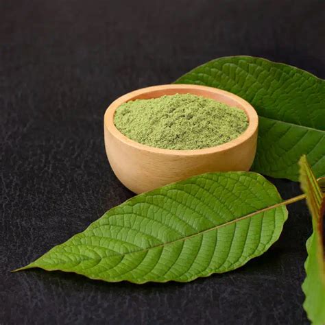 Kde koupit kratom | Kontrola kvality a jak vybrat správný druh