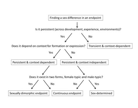The Scholar Feminist Online Eight Things You Need To Know About Sex Gender Brains And