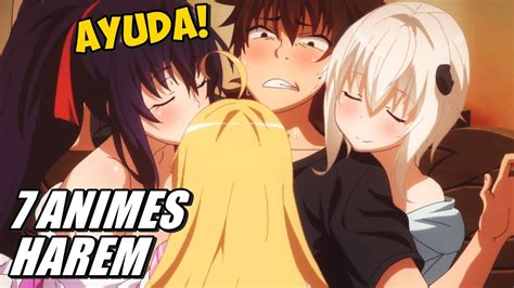 ¡7 Animes Harem Donde El Protagonista Es Ac0sad0 Animes Donde El