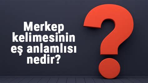 Merkep Kelimesinin Eş Anlamlısı Nedir Merkebin Eş Anlamı Ile örnek