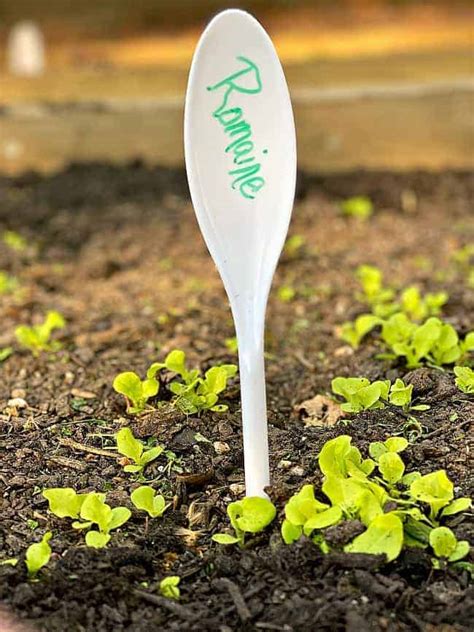 DIY Vegetable Garden Markers · Chatfield Court