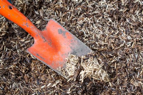 Rice Hulls For Gardening Experts Explain The Benefits Livingetc