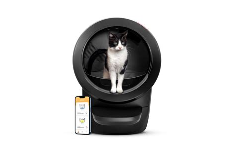 Litter Robot Review Is It Worth It Time Stamped