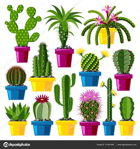 Linda Colecci N De Cactus De Dibujos Animados Vector De Stock