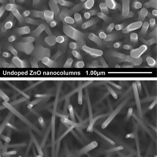 Scanning Electron Microscopy Sem Images Of Undoped And Cu Doped Zno