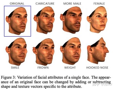 3DMM A Morphable Model For The Synthesis Of 3D Faces1999 知乎