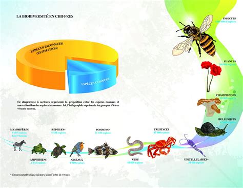 Le Journal Alancienne La Biodiversit Un Service Cosyst Mique