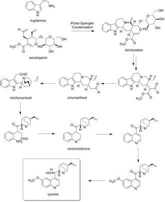 Quinine Wikipedia