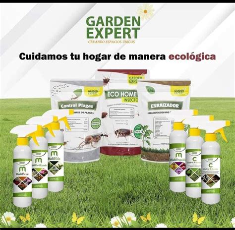 Productos Organicos De Consumo Y Agricultura Guatemala Agroterra Guatemala