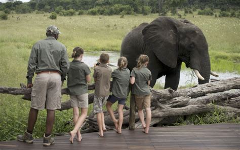 Luxury Family Safari