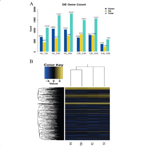 Transcriptional Profiles Of T Hemsleyanum After 0 To 48 H Of Cold