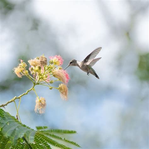 Visit Sandy Springs on LinkedIn: #sharesandysprings #visitsandysprings