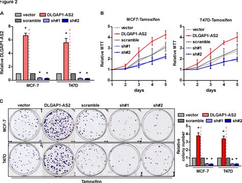 Dlgap As Increases The Viability Of Breast Cancer Cells A Relative