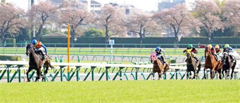 【中山11r・美浦s】テーオーシリウスが逃げて5馬身差の圧勝 オープン入り果たす 競馬ニュース