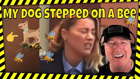 My Dog Stepped On A Bee Reaction Johnny Depp Amber Heard Trial