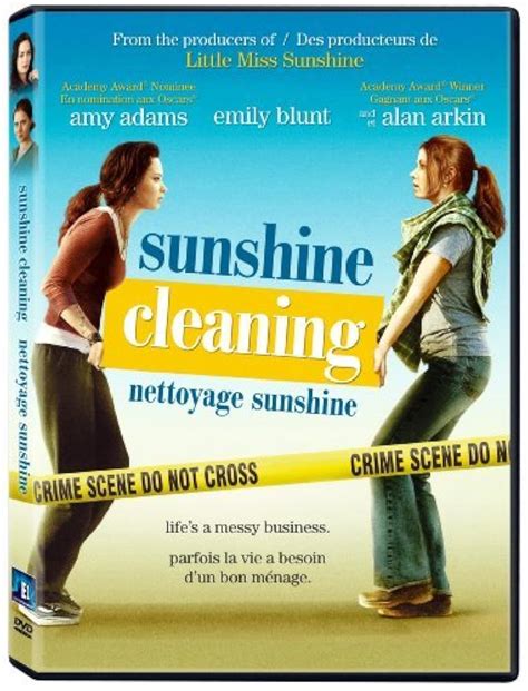 Sunshine Cleaning 2008