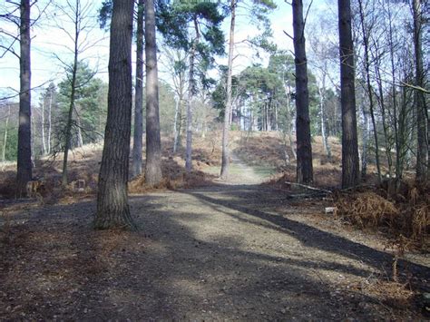 Path leading back up to Finchampstead... © Diane Sambrook cc-by-sa/2.0 :: Geograph Britain and ...