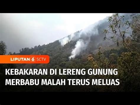 Kebakaran Di Lereng Gunung Merbabu Masih Terjadi Dan Terus Api Di Lahan