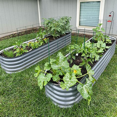 Steel Planter Boxes Growing Plants Vegega