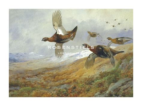 Archibald Thorburn Hand Numbered Limited Edition Print On Paper