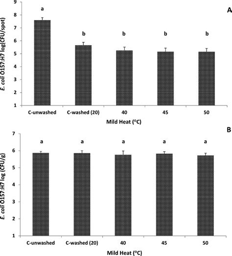 Effects Of Washing And Mild Heat Treatment On E Coli O H Strain