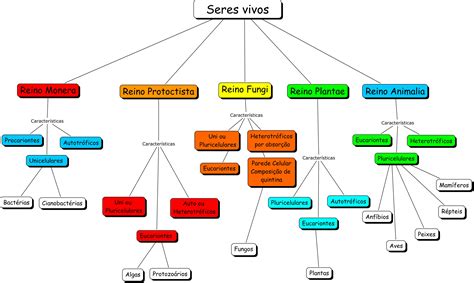 Los Seres Vivos Taxonomia Mapa Mental Images 54384 The Best Porn Website