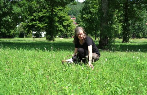 Bad Bocklet L Dt Zum Rh Ner Wandertag F R Alle Generationen