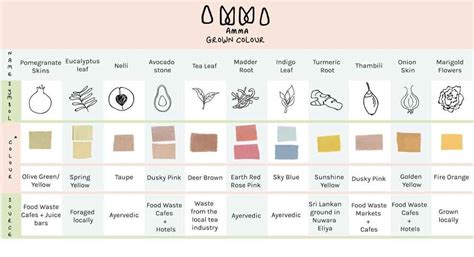 Amma S Guide To Natural Dyes Traid