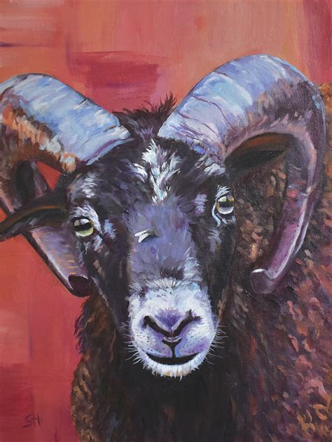 Ram Sheep Painting by Sandy Herrault - Fine Art America