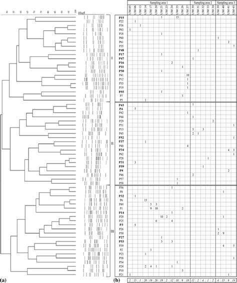 Mtdna Rflp Cluster Analysis Using Dices Similarity Coefficient And