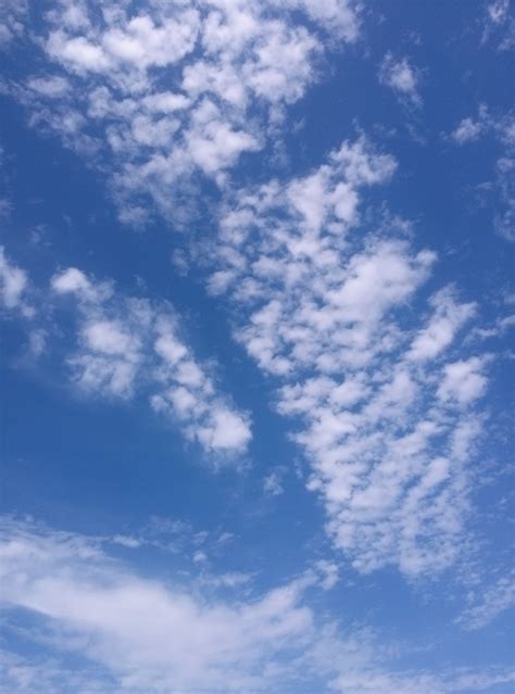 Free Images Horizon Cloud Sunlight Daytime Cumulus Blue Sky